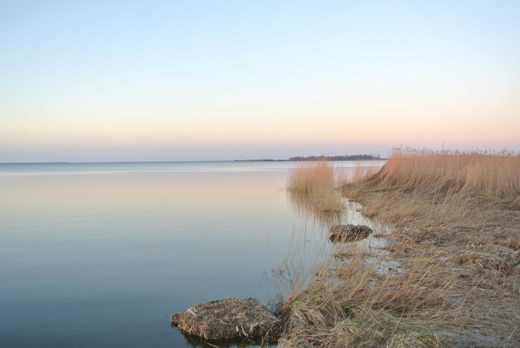 Appartamento Fischlandinsicht Ribnitz-Damgarten Esterno foto